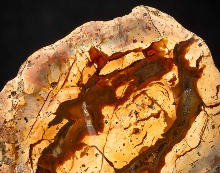 Thunderegg Agate, Mexico